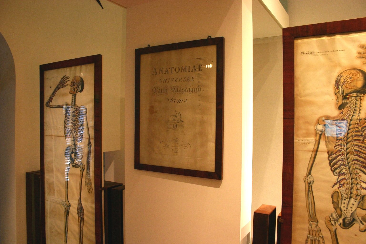 Sala 'Paolo Mascagni', Accademia dei Fisiocritici, Siena, Italy - 01.JPG